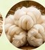 Wool